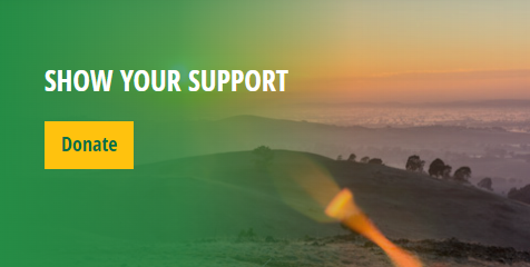Show Your Support